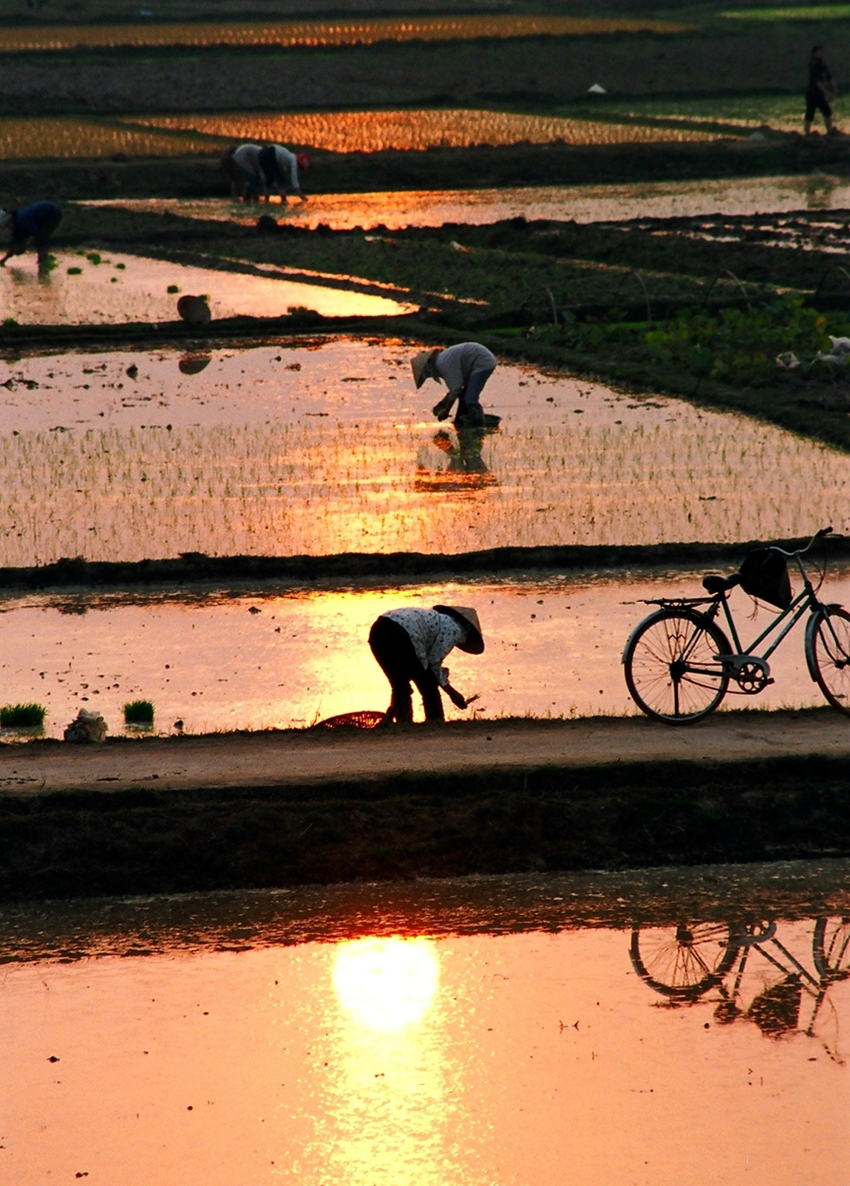 Vào vụ