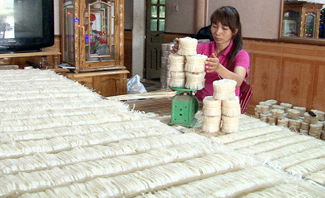 HTX Sản xuất và tiêu thụ mỳ Chũ: Tạo việc làm cho hơn 700 lao động
