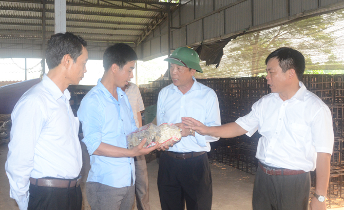 Bí thư Tỉnh ủy Bùi Văn Hải kiểm tra tình hình kinh tế-xã hội tại huyện Lạng Giang