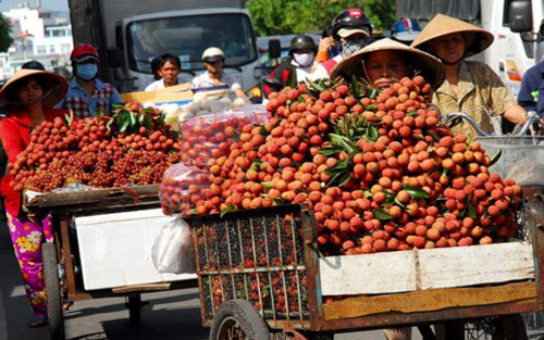 Hà Nội giúp Bắc Giang tiêu thụ vải thiều