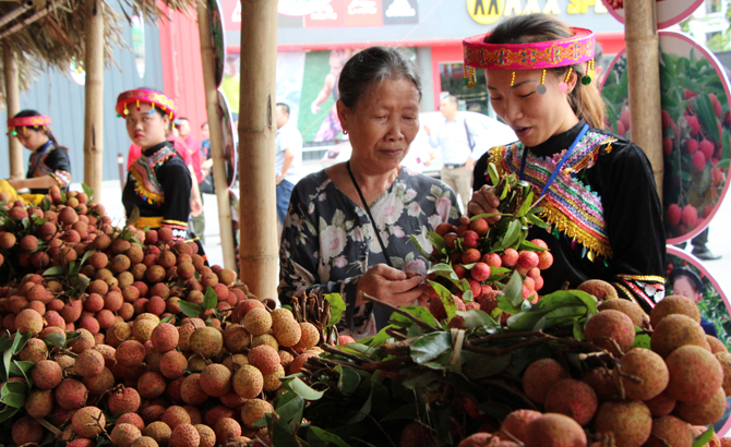 Giá vải thiều Lục Ngạn tại Hà Nội từ 54.000-68.000 đồng/kg