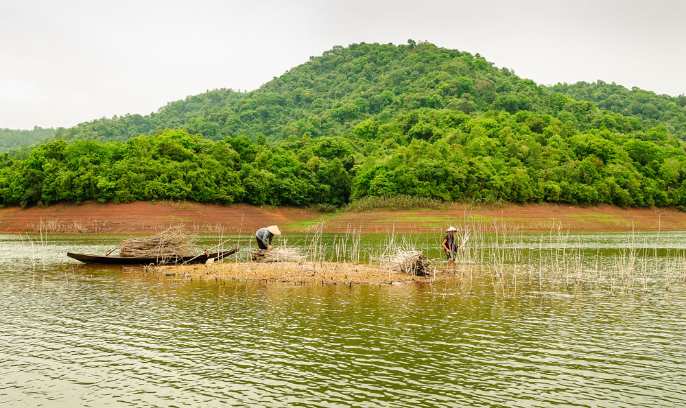 Mưu sinh trên hồ Cấm Sơn