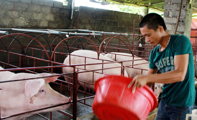 Đồng hành cùng thanh niên lập nghiệp