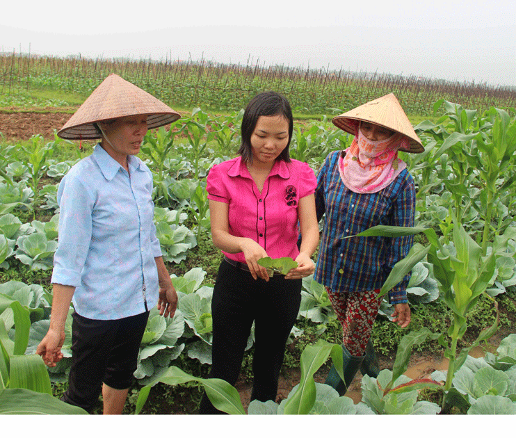 Lạng Giang: 100% cơ sở hội phụ nữ có mô hình câu lạc bộ làm theo Bác