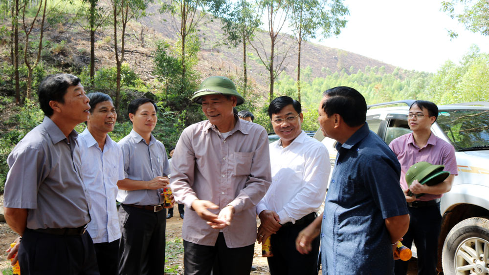 Kiểm tra tại huyện Lục Nam, Bí thư Tỉnh ủy Bùi Văn Hải chỉ đạo: Quan tâm bảo vệ, khai thác hiệu quả tài nguyên rừng