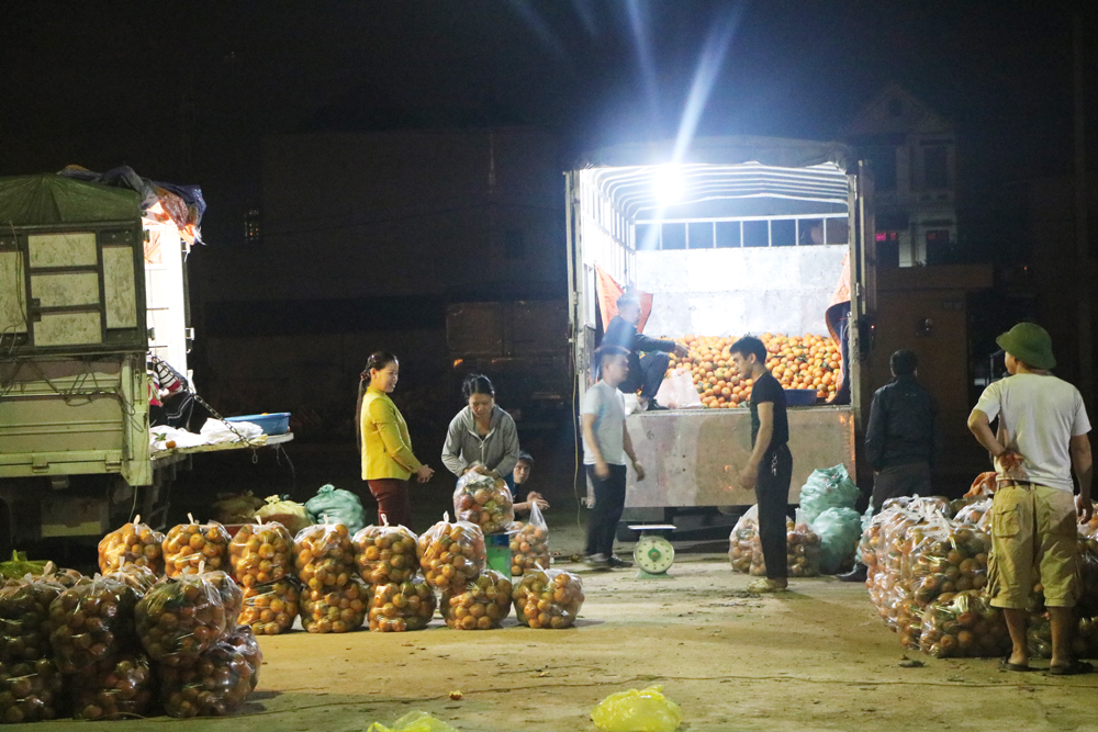 TP Bắc Giang: Tổng mức bán lẻ hàng hóa và doanh thu dịch vụ - thương mại tăng 18,4%