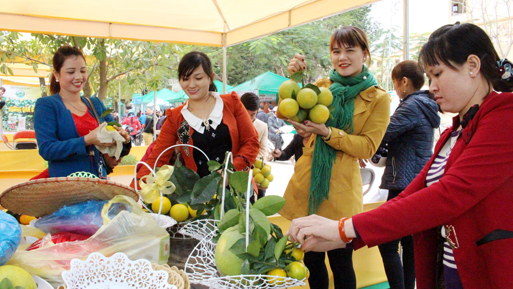 Ngày hội Trái cây huyện Lục Ngạn lần thứ II: Cho quả ngọt vươn xa