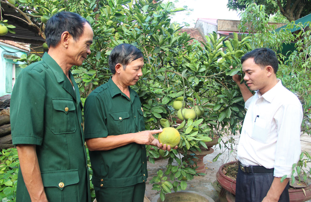 Hội Cựu Chiến binh tập huấn nghiệp vụ