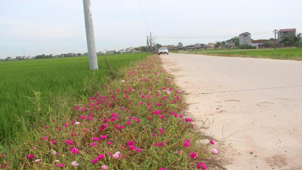 Cứng hóa thêm 24 km đường giao thông nông thôn