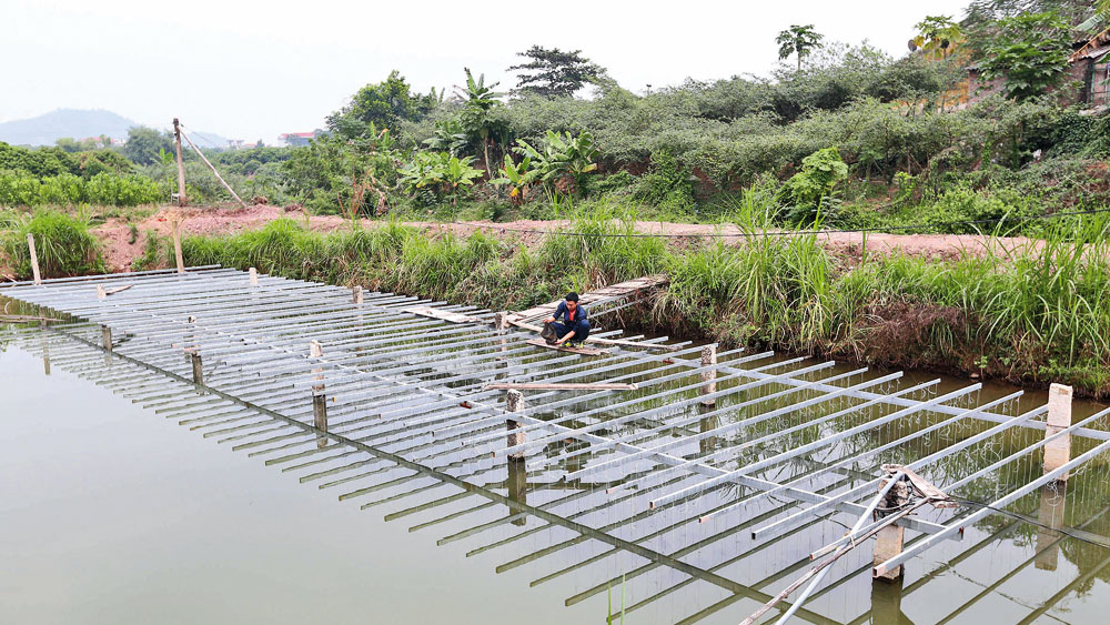 Ngọc trai Suối Nứa