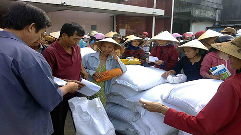 Thủ tướng chỉ đạo cấp gạo cho 7 địa phương hỗ trợ nhân dân dịp Tết