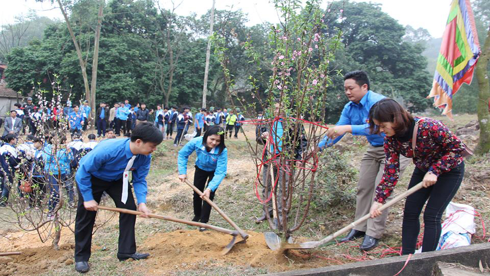 Trồng mới gần 20 km đường hoa