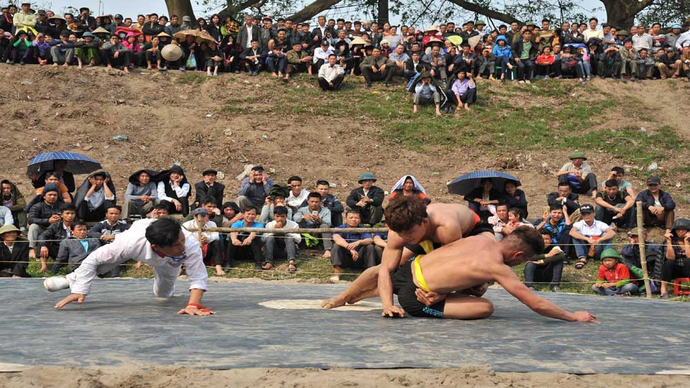 Hội vật truyền thống Làng Phù Tài Tiên Sơn Việt Yên