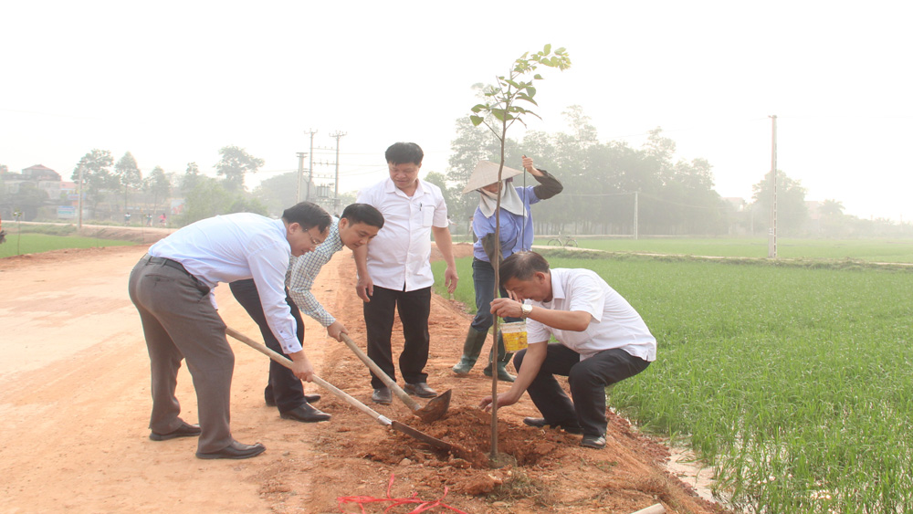 Trồng 300 cây lát hoa ven đường liên thôn