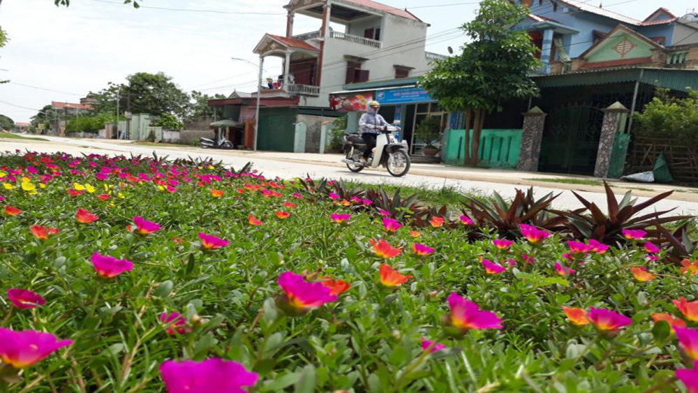 Hội LHPN huyện Lạng Giang phấn đấu trồng hơn 20km đường hoa