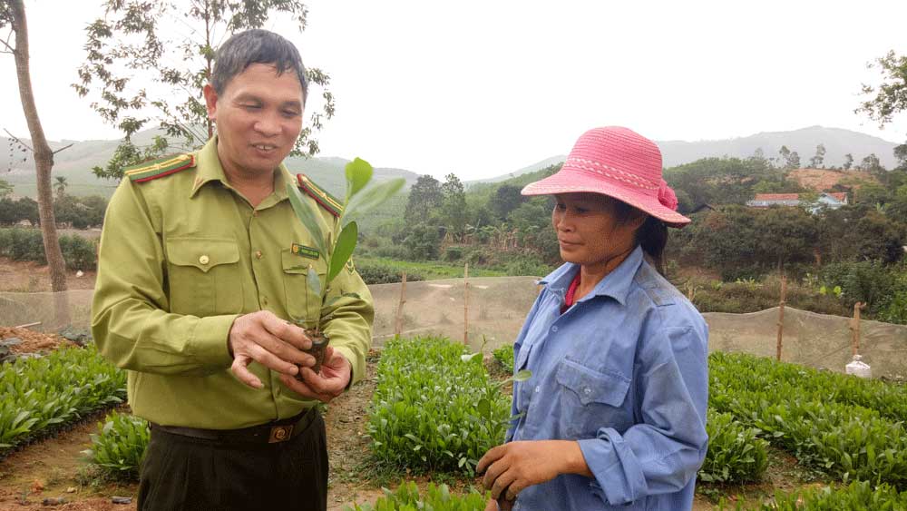 Phấn đấu hoàn thành trồng rừng trong tháng 7-2018