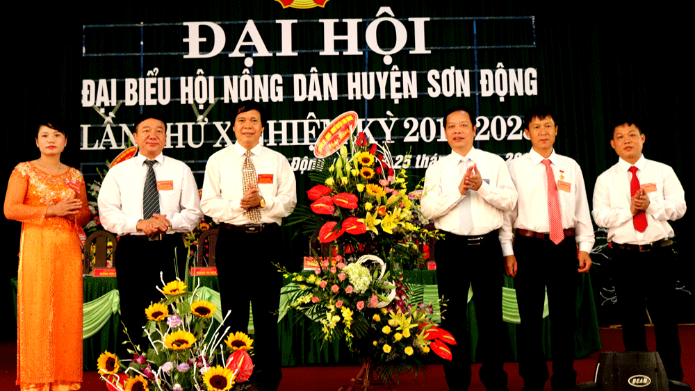 Đại hội Hội Nông dân huyện Sơn Động: Phấn đấu kết nạp mới hơn 2 nghìn hội viên Hội Nông dân