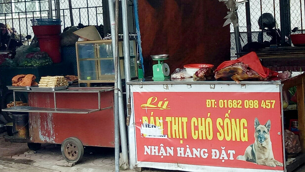 Mất vệ sinh từ thức ăn đường phố