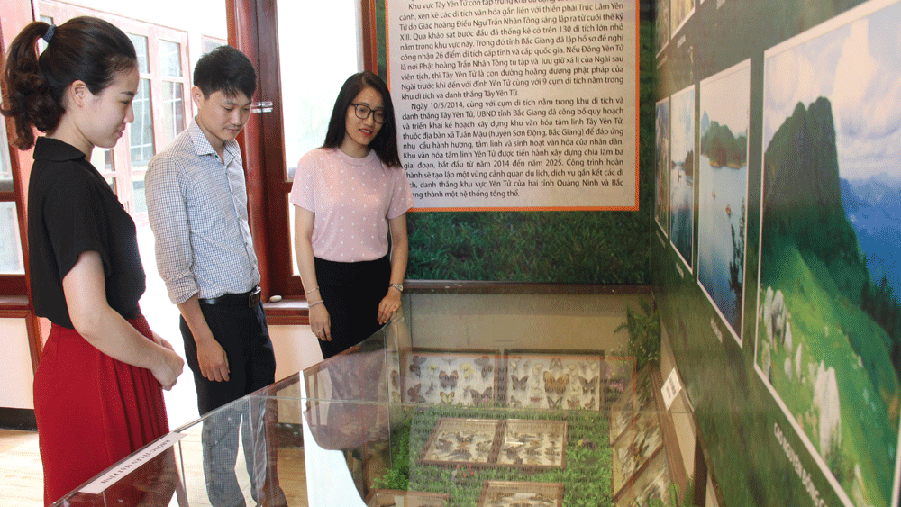 Bảo tàng tỉnh Bắc Giang bổ sung thêm hai gian trưng bày