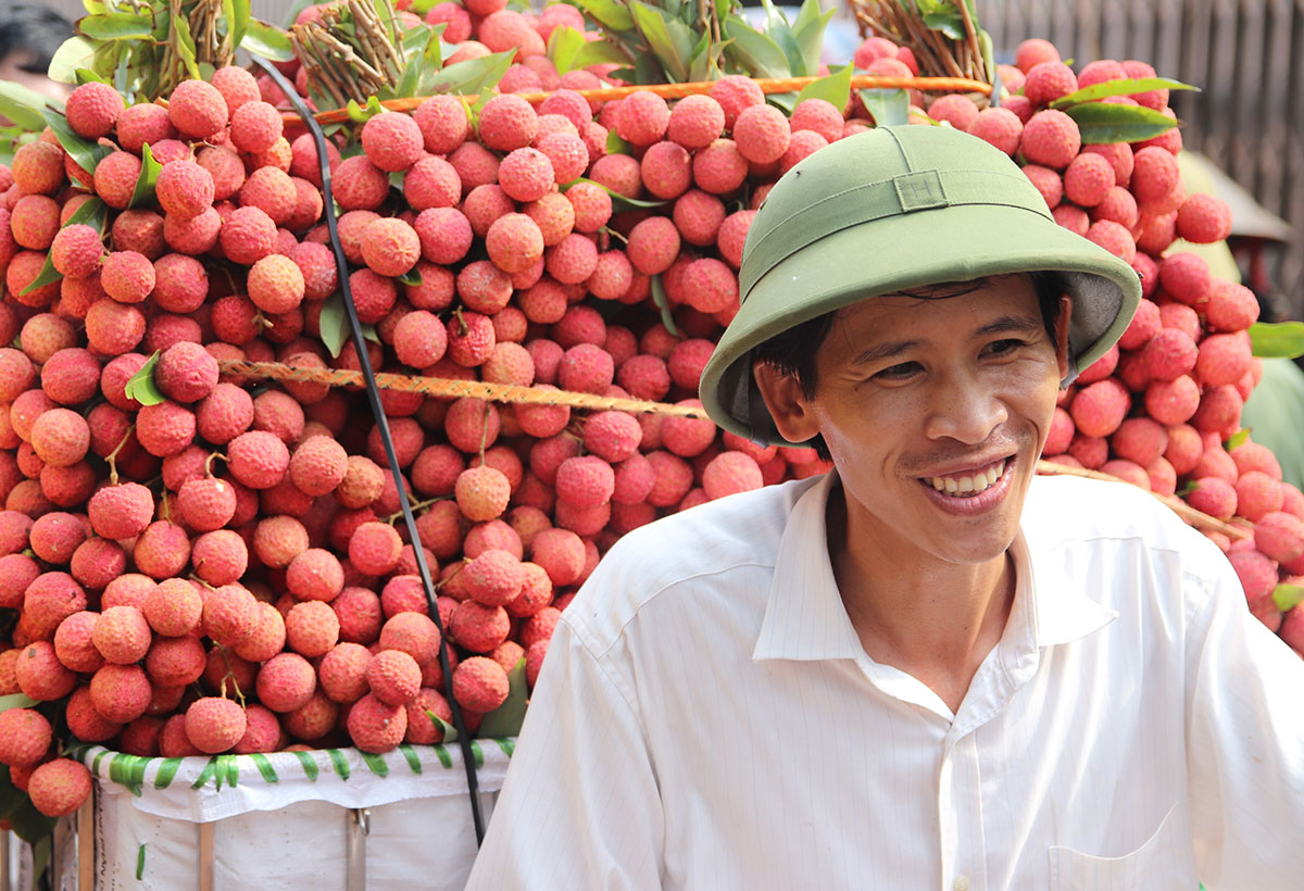 Vải cười