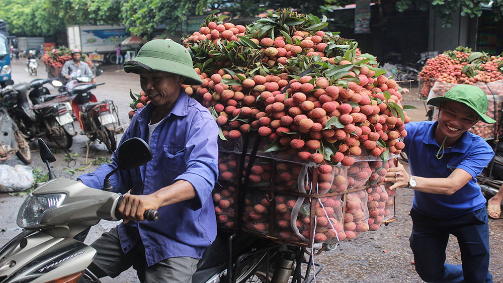 Nụ cười tình nguyện