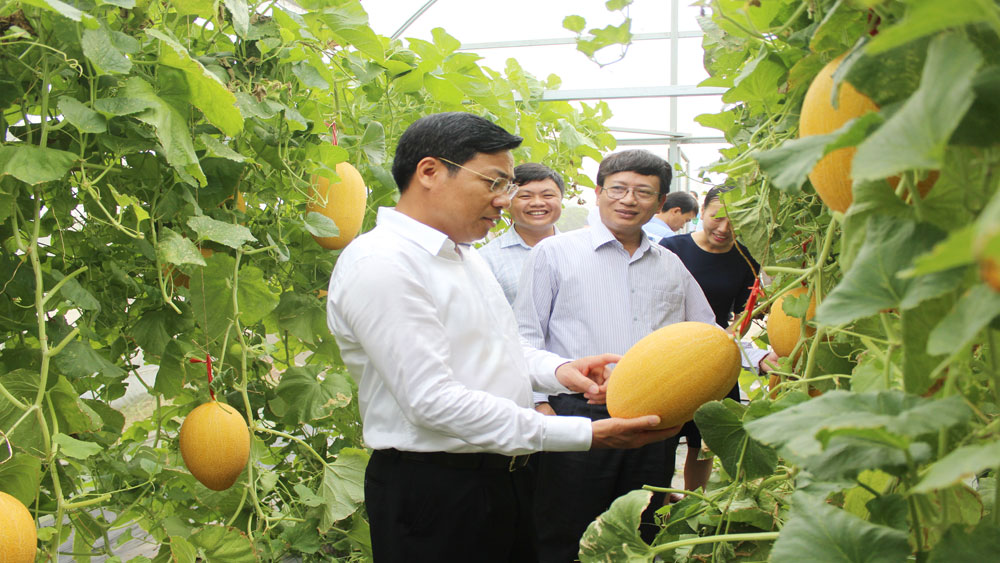 Đại học Nông lâm Bắc Giang trình diễn mô hình nông nghiệp công nghệ cao