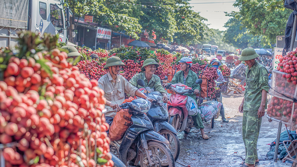 Niềm vui được mùa