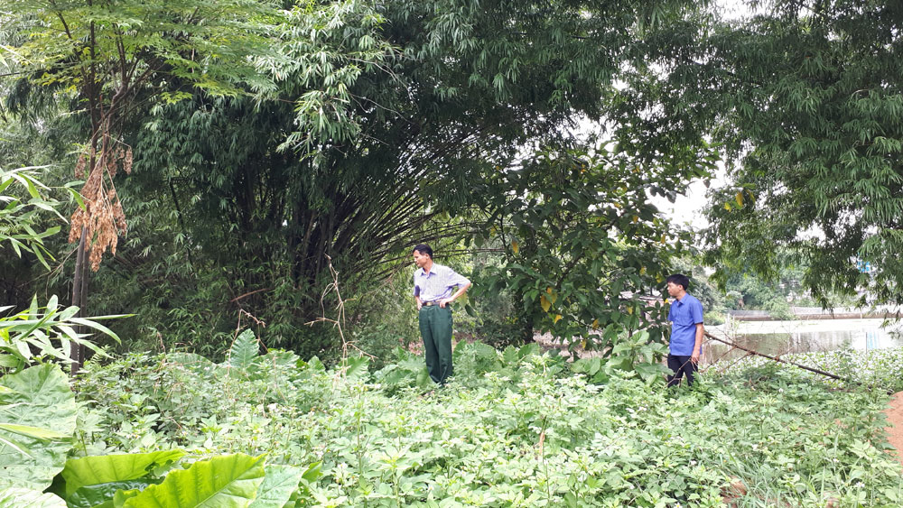 UBND xã Nội Hoàng (Yên Dũng): Giao đất trái luật, phát sinh tranh chấp