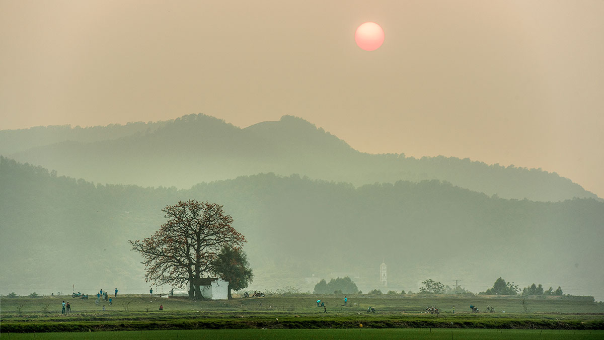 Trên triền đê