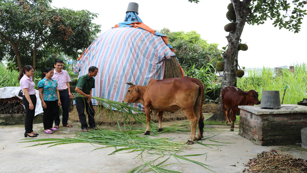 Bệnh binh Nguyễn Văn Kế không cam chịu đói nghèo