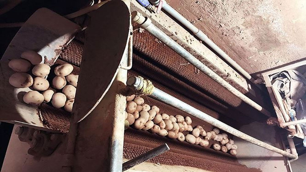 Chuyển hàng trăm tấn khoai tây Trung Quốc khỏi Chợ Nông sản Đà Lạt