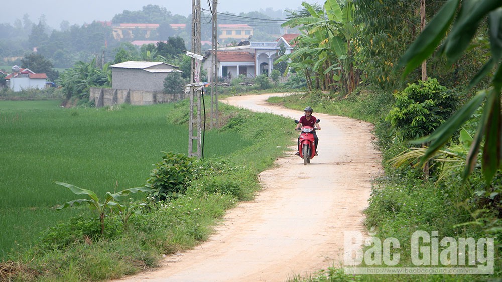 Hỗ trợ sinh kế để giảm nghèo bền vững