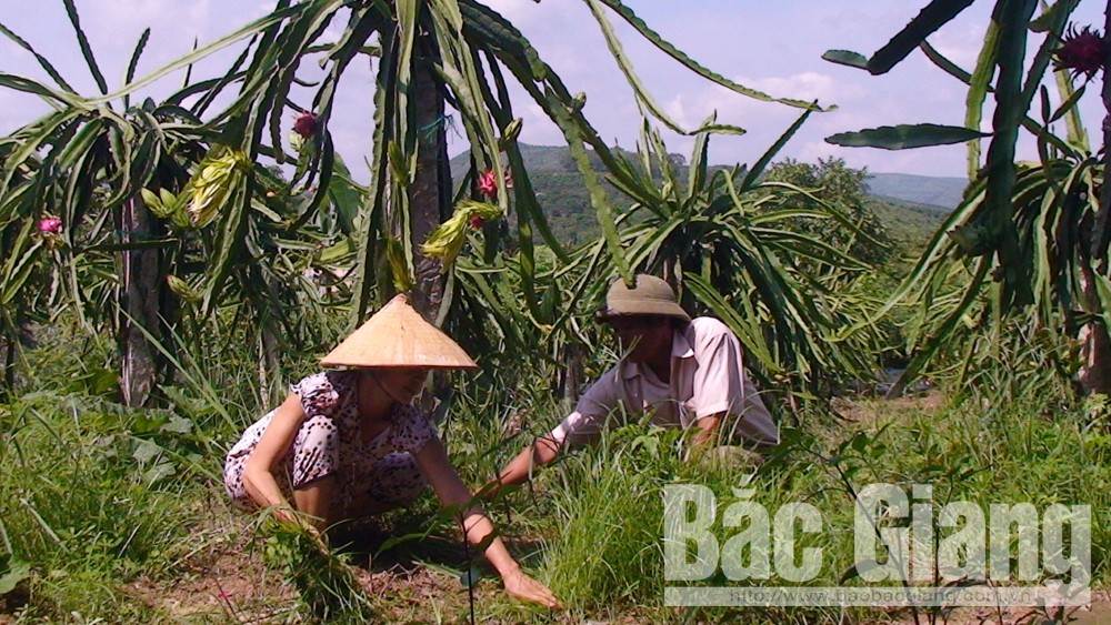 Nhân rộng hàng trăm mô hình dân vận khéo