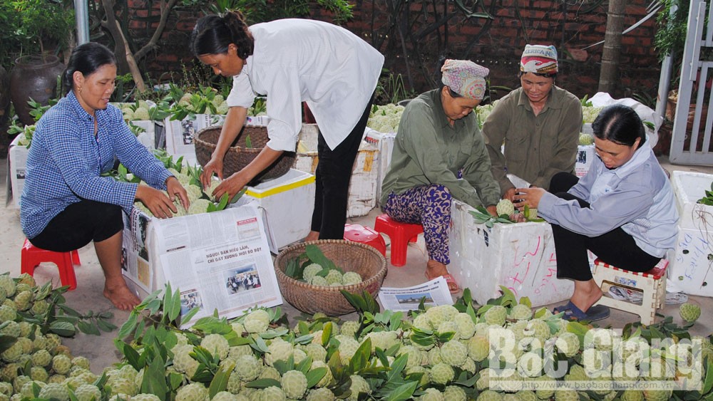 Lục Nam xây dựng sản phẩm đặc trưng