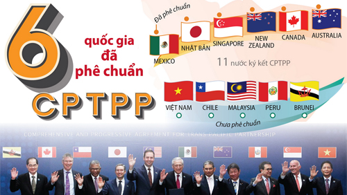 6 quốc gia đã phê chuẩn Hiệp định CPTPP