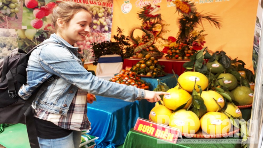 Hội chợ cam, bưởi và các sản phẩm đặc trưng huyện Lục Ngạn diễn ra từ ngày 24 đến 29-11