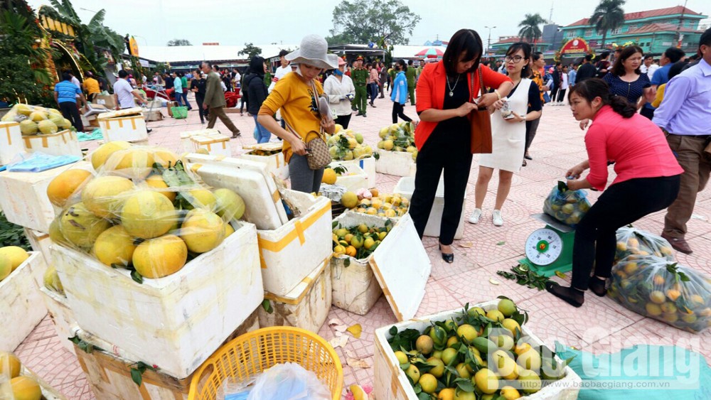 Lục Ngạn: Giá cam, bưởi bán tại Hội chợ dao động từ 12- 50 nghìn đồng/kg