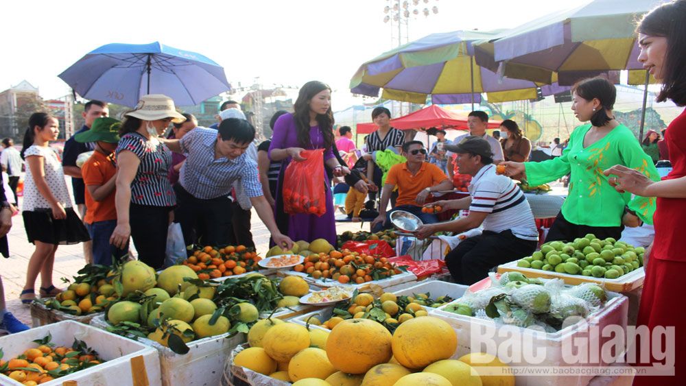 Tiêu thụ hơn 135 tấn trái cây tại Hội chợ cam, bưởi và sản phẩm đặc trưng huyện Lục Ngạn