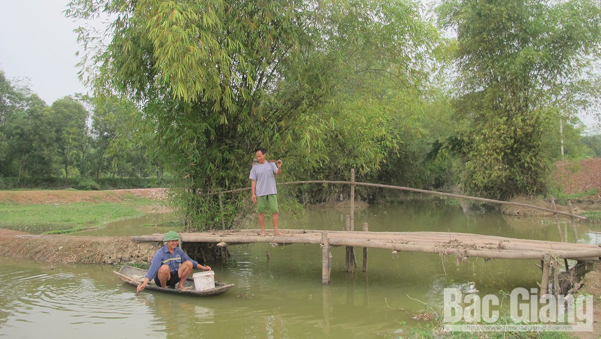 Bình dị chốn quê