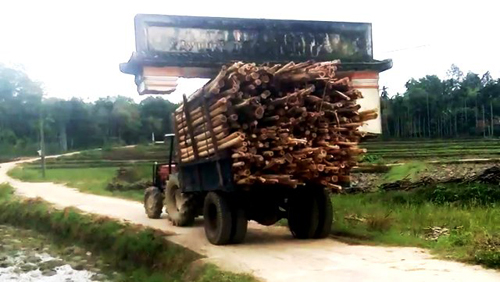 Xe gỗ 'chở' cả... cổng làng chạy trên đường