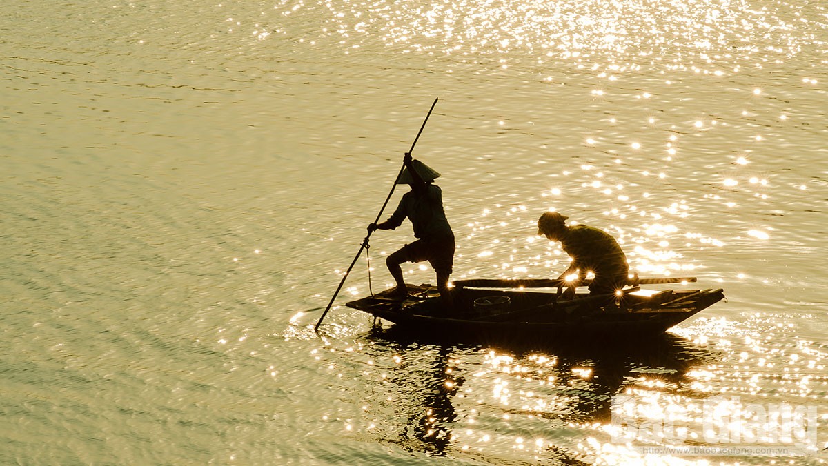 Chiều về sông Thương