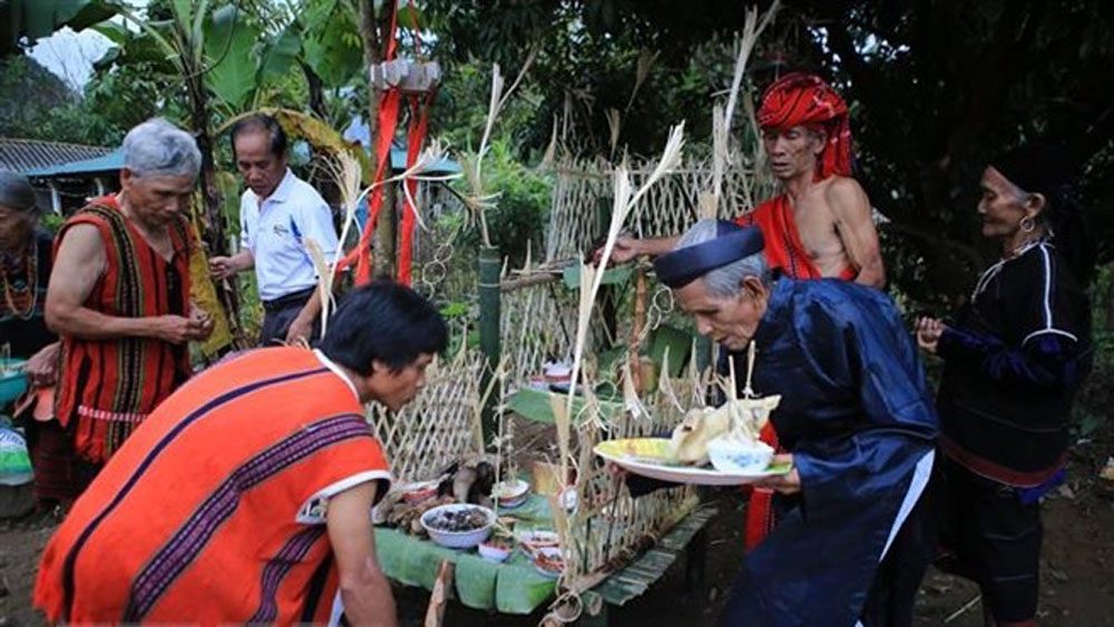 Traditional festival of Pa Co ethnic group restaged in Thua Thien – Hue