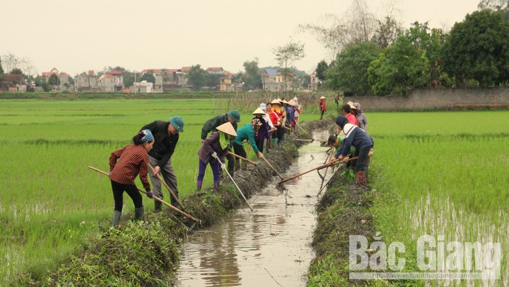 Cán bộ xã Phúc Sơn xuống thôn cùng nhân dân lao động sản xuất