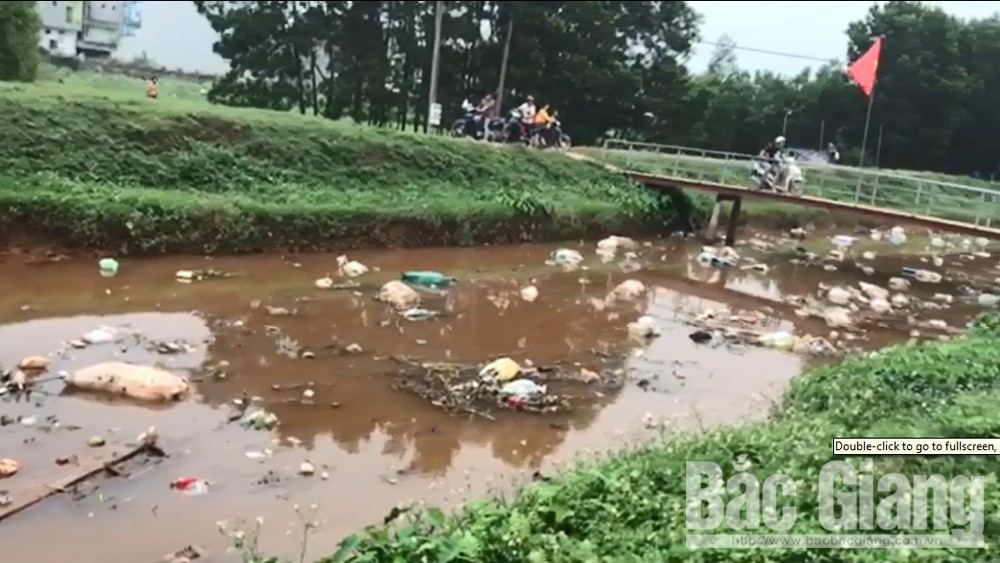 Khắc phục rác thải, xác lợn trôi trên kênh từ tỉnh Thái Nguyên về Bắc Giang