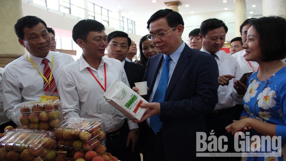 Bắc Giang: Hơn 500 điểm cân, với gần 1 nghìn thương nhân đến thu mua vải thiều