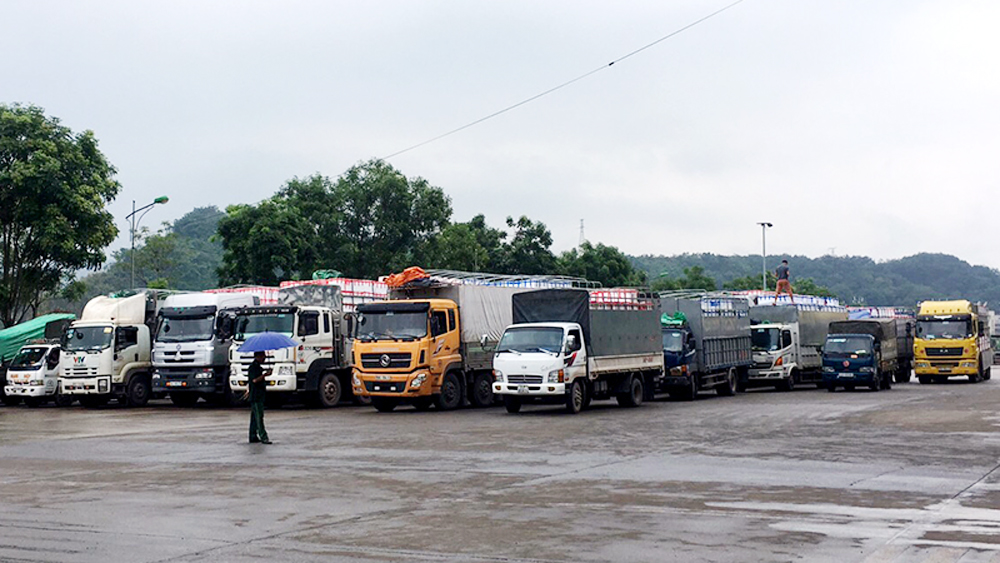 Xuất khẩu hơn 110 tấn quả vải qua Cửa khẩu Quốc tế đường bộ số 2 Kim Thành (Lào Cai)