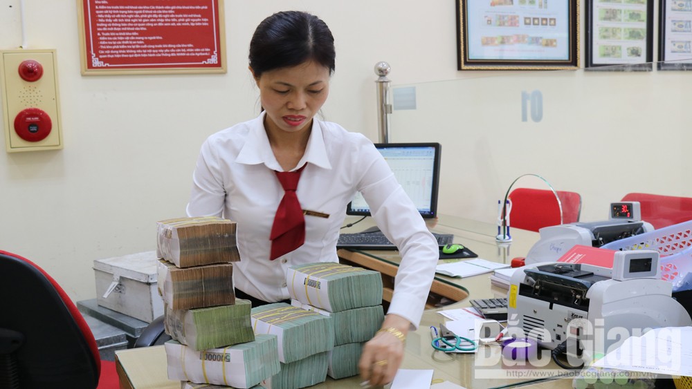 Bắc Giang: Bố trí 896 tỷ đồng cho vay tiêu thụ và chế biến vải thiều