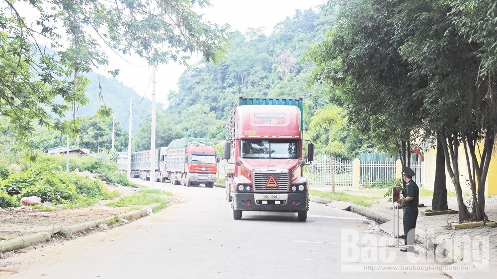 Xuất khẩu vải thiều qua các cửa khẩu tỉnh Lạng Sơn: Giảm thủ tục, thông quan trong ngày
