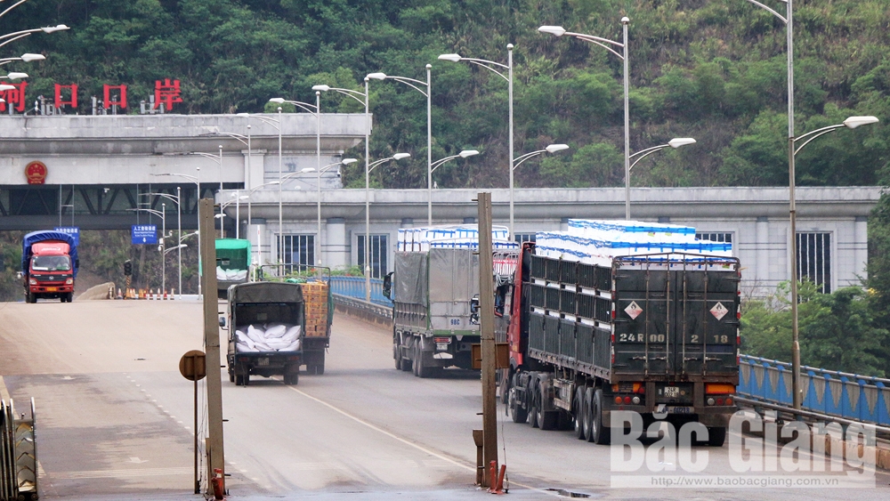 Mỗi ngày có hàng nghìn tấn vải thiều xuất khẩu sang Trung Quốc qua tỉnh Lào Cai