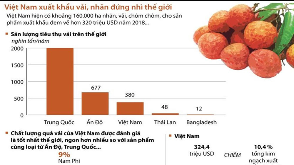 Việt Nam đứng thứ hai thế giới về xuất khẩu vải, nhãn